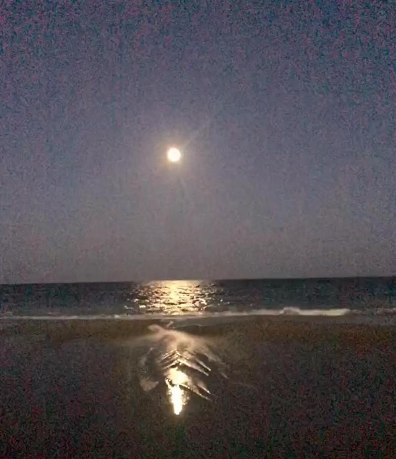 2501 S Ocean Blvd, 0811 - Ocean Front Sleeps 6 Villa Myrtle Beach Bagian luar foto